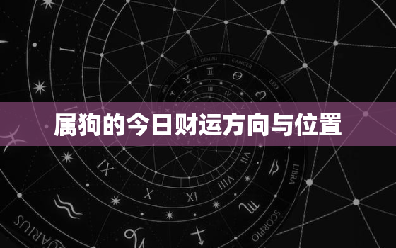 属狗的今日财运方向与位置，属狗的人今日财运方位