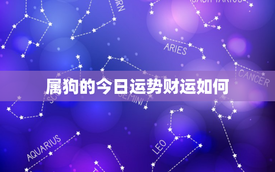 属狗的今日运势财运如何，属狗今日运势财运如何2022年