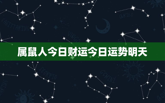 属鼠人今日财运今日运势明天，属鼠今天适合打牌不