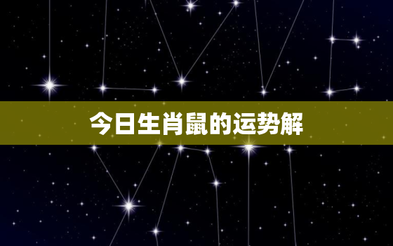 今日生肖鼠的运势解，今日生肖鼠运势解秘