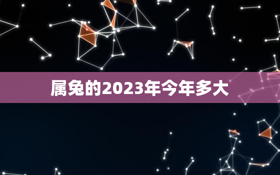 属兔的2023年今年多大，属兔的在2023年的全年命运如何