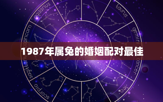 1987年属兔的婚姻配对最佳，1987年属兔的婚姻配对最佳生肖