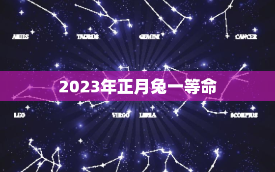 2023年正月兔一等命，属兔的正月的男孩好不好