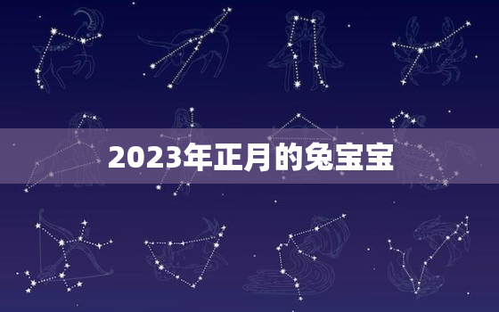 2023年正月的兔宝宝，2023年正月的兔宝宝好不好