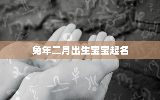 兔年二月出生宝宝起名，兔年二月出生宝宝起名字