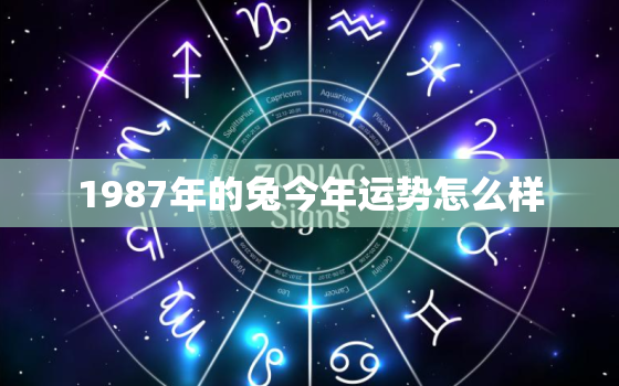 1987年的兔今年运势怎么样，1987年的兔今年运势怎么样女