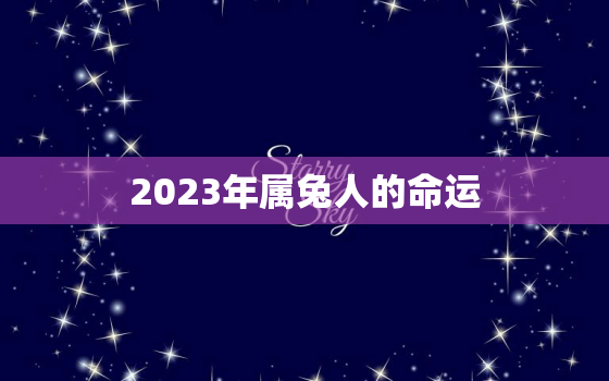 2023年属兔人的命运，2023年属兔人的全年运势详解