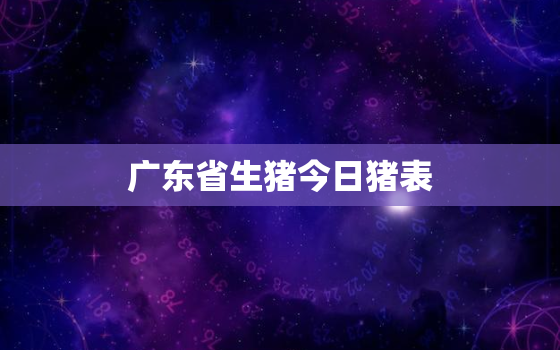 广东省生猪今日猪表，今曰广东省生猪价格是多少