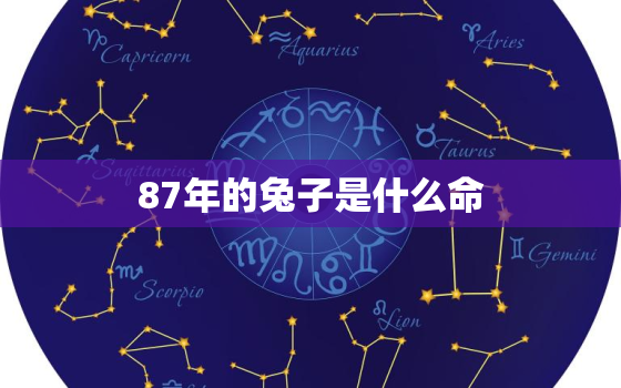 87年的兔子是什么命，87年9月的兔子命运如何