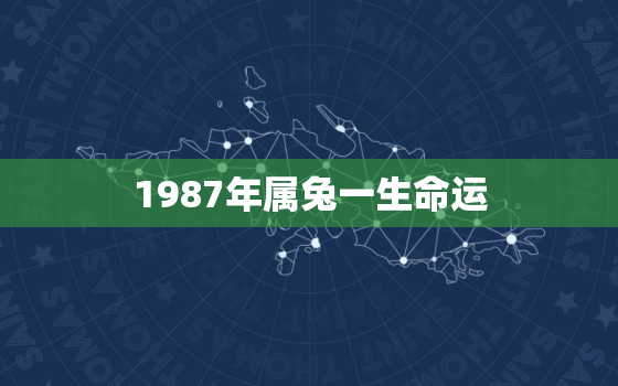 1987年属兔一生命运，1987年属兔人的一生运程