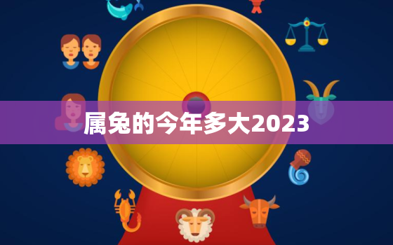 属兔的今年多大2023，属兔的今年多大2023年结婚