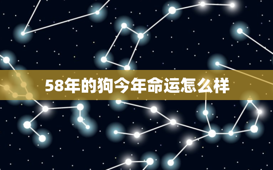 58年的狗今年命运怎么样，58年的狗命运如何