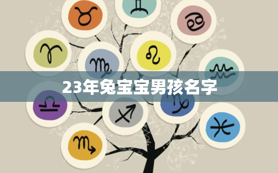 23年兔宝宝男孩名字，2023年兔宝宝乳名