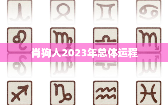 肖狗人2023年总体运程，82年狗40岁后十年大运运程