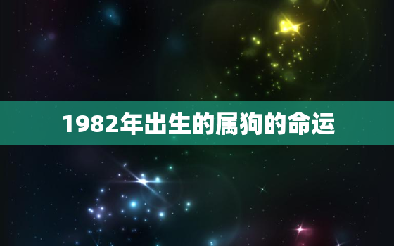 1982年出生的属狗的命运，1982年出生属狗人命运