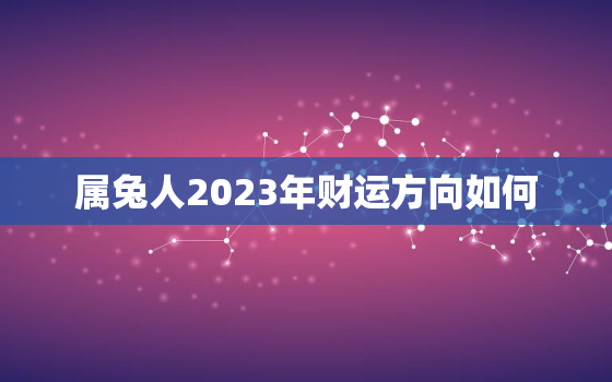 属兔人2023年财运方向如何，属兔人2023年运势及财运