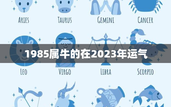 1985属牛的在2023年运气，1985牛年2023年运势及运程