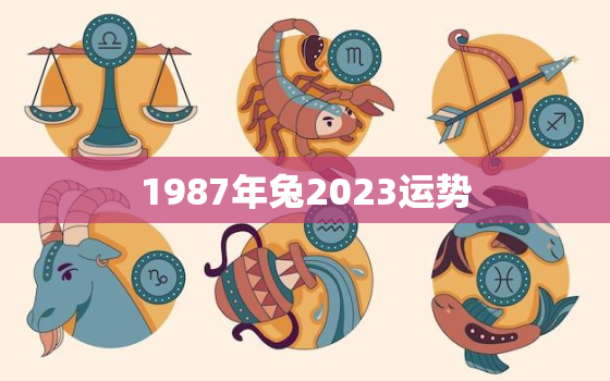 1987年兔2023运势，1987属兔2023年运势及运程每月运程