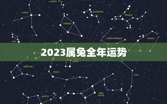 2023属兔全年运势，2022属兔全年运势1987