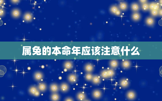 属兔的本命年应该注意什么，1987年属兔35岁后会大富大贵