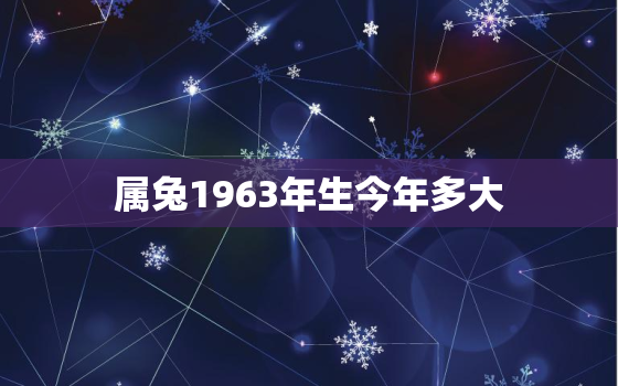 属兔1963年生今年多大，1963年出生的属兔的今年多大了