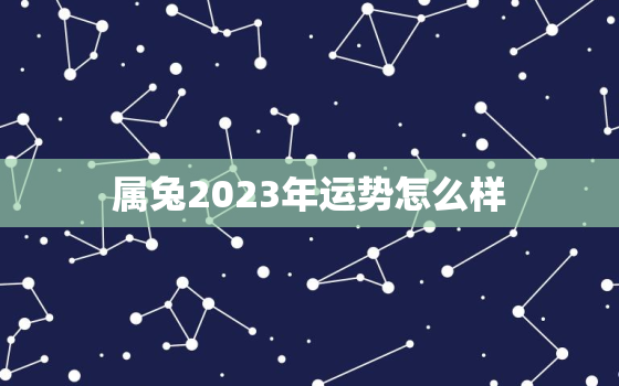 属兔2023年运势怎么样，属兔的今年的运气怎么样