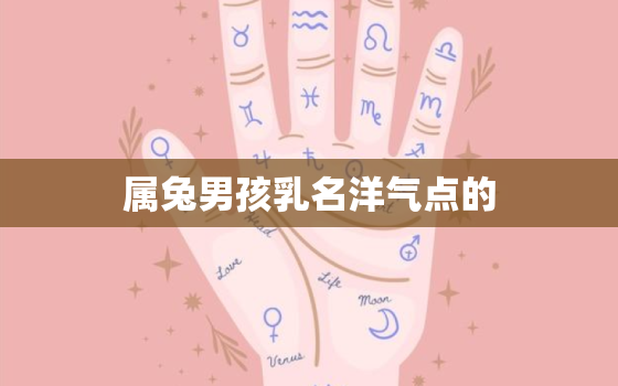 属兔男孩乳名洋气点的，属兔男孩的小名