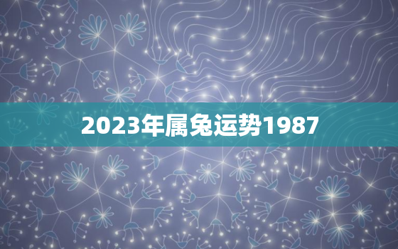 2023年属兔运势1987，2023年属兔运势麦玲玲版本