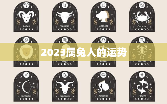 2023属兔人的运势，2023年属兔人运气