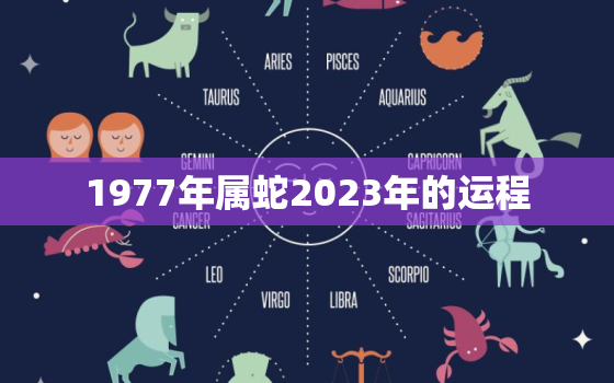 1977年属蛇2023年的运程，1977年属蛇男在2023年运程和运势