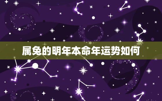 属兔的明年本命年运势如何，1999年属兔24岁以后一生命运