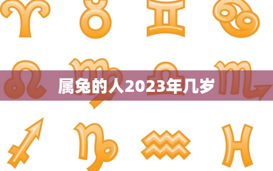 属兔的人2023年几岁，2023年属兔几岁了