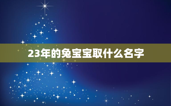 23年的兔宝宝取什么名字，23年兔宝宝几月出生好