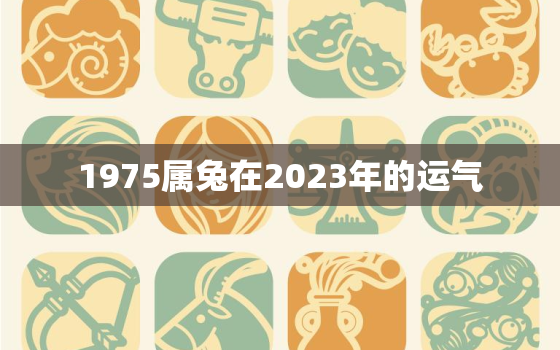 1975属兔在2023年的运气，1975属兔2023年运势