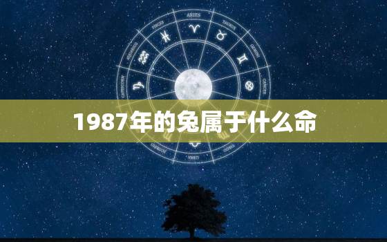 1987年的兔属于什么命，1987年属兔35岁后会大富大贵