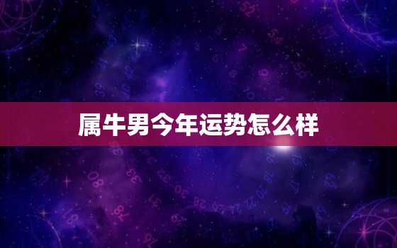 属牛男今年运势怎么样，属牛的男人今年运势如何