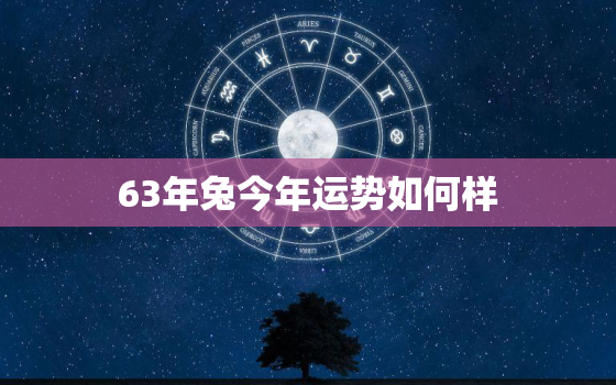 63年兔今年运势如何样，63年的兔今年运势如何