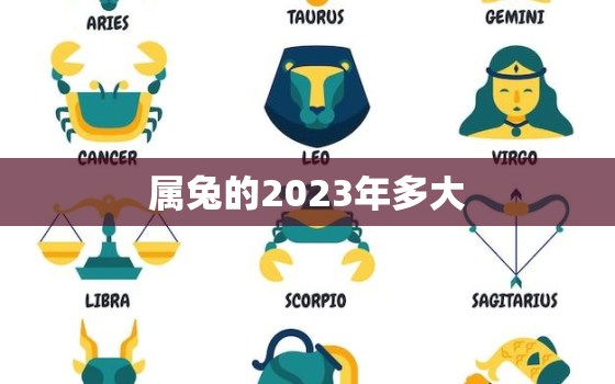 属兔的2023年多大，属兔的2023年多大岁数