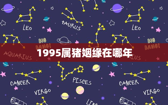 1995属猪姻缘在哪年，1995属猪的姻缘