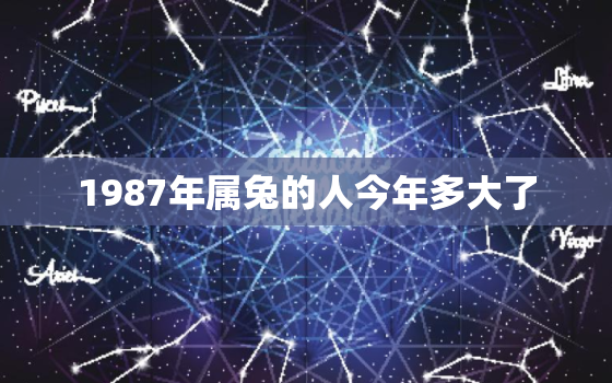 1987年属兔的人今年多大了，1987年属兔的今年多少周岁