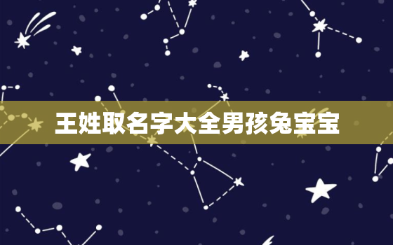 王姓取名字大全男孩兔宝宝，王姓取什么名字好男孩