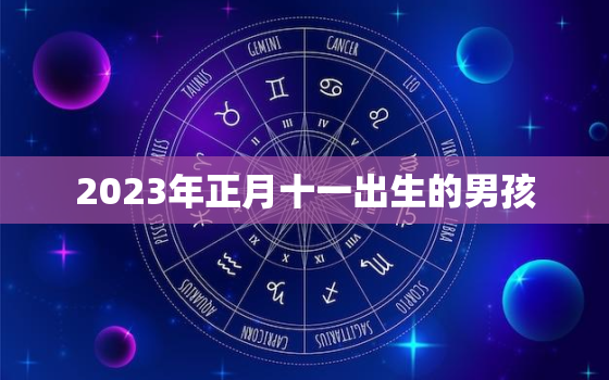 2023年正月十一出生的男孩，2021正月十三出生