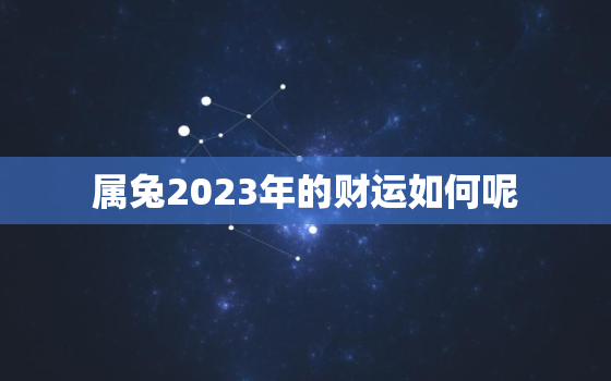 属兔2023年的财运如何呢，属兔2023年的财运如何呢图片