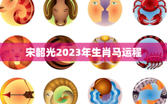 宋韶光2023年生肖马运程，宋韶光2023年运势