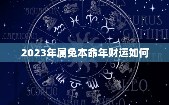 2023年属兔本命年财运如何，2023年属兔本命年穿什么颜色的