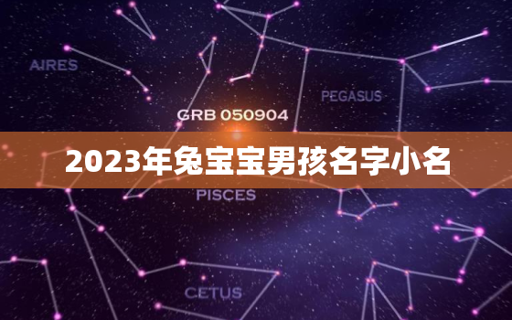 2023年兔宝宝男孩名字小名，2023年兔宝宝取名字