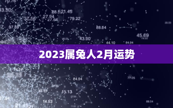 2023属兔人2月运势，2023属兔运气