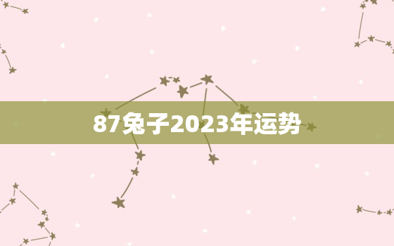 87兔子2023年运势
，87年属兔2023年运势详解