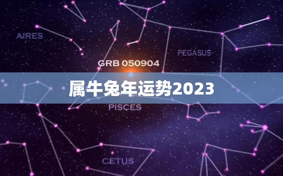 属牛兔年运势2023，属牛兔年运势2023年运程