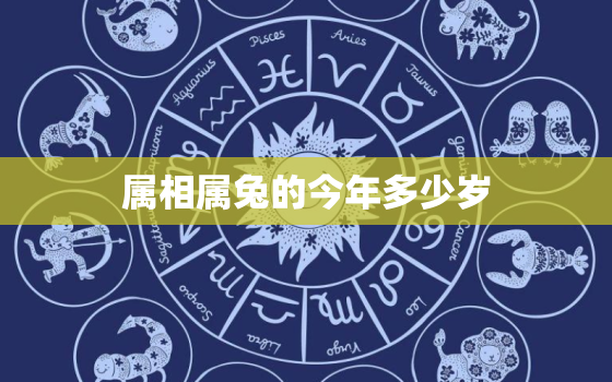 属相属兔的今年多少岁，属兔的今年多大岁了